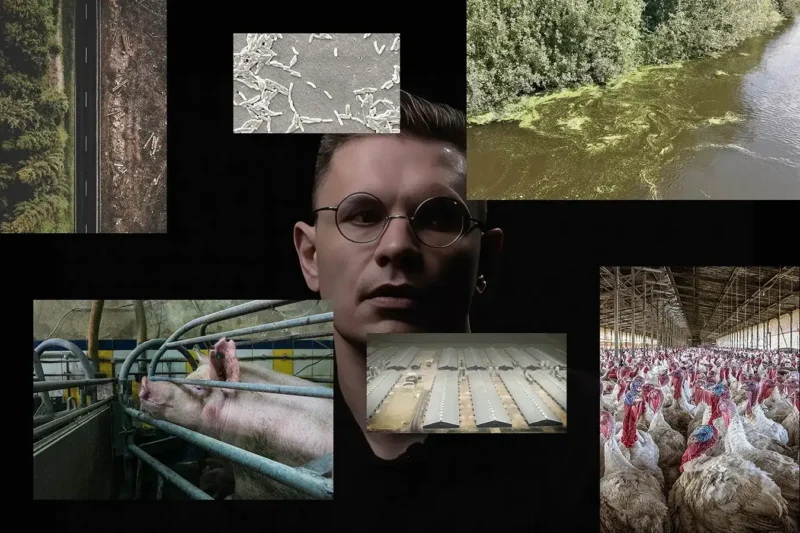 Collage of factory farming, pollution, and environmental destruction issues along with the portrait of an industry whistleblower