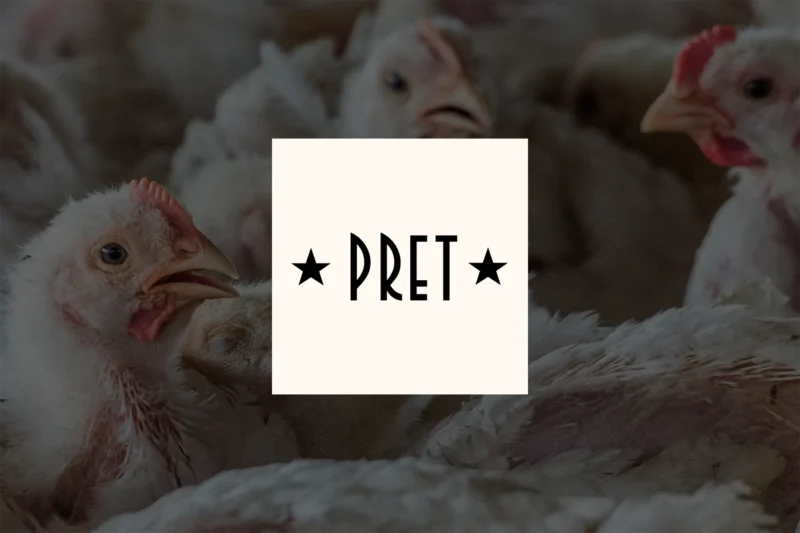 Pret logo overlaid on an image of chickens crowded together, their beaks open as the birds gasp.