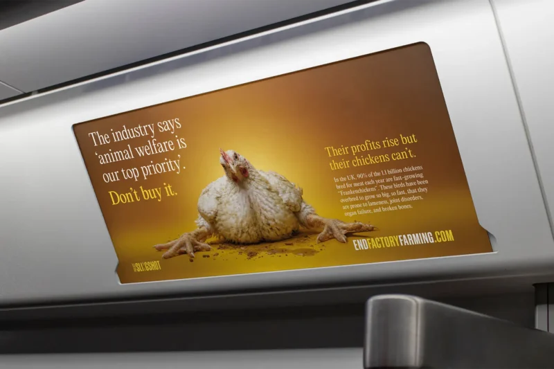 An End Factory Farming campaign advertisement displayed in a London Underground carriage, featuring a factory farmed chicken. Headline: 'The industry says animal welfare is our top priority. Don't buy it.'