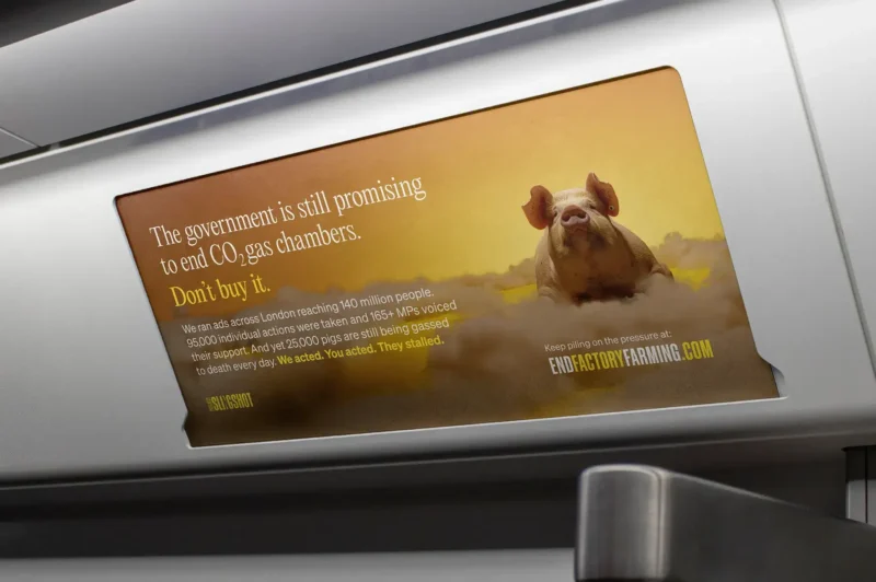 An End Factory Farming campaign advertisement displayed in a London Underground carriage, featuring a pig and the text "The government is still promising to end CO₂ gas chambers. Don't buy it.