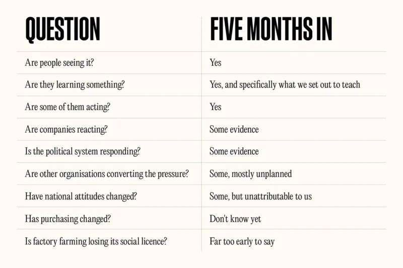 A table showing Project Slingshot's results five months in, with early signs of public awareness, action and political response, but purchasing change and social licence impact still too early to measure.
