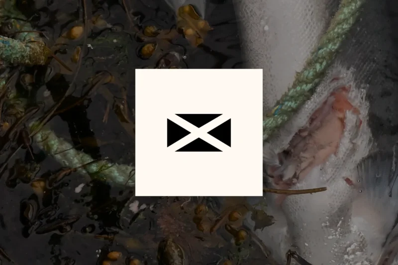 Farmed salmon crowded together underwater, with the Scottish Parliament logo overlaid, illustrating a petition to end salmon farming in Scotland.