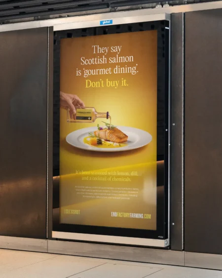 An End Factory Farming campaign poster in a London Underground station, showing a plate of salmon being doused from a bottle of formaldehyde, with the text "Don't buy it."