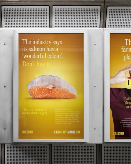 An End Factory Farming campaign poster in a London Underground station, showing a raw salmon fillet with the text "Don't buy it.", with a second poster partially visible alongside featuring Chris Packham.